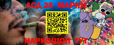 молекула духа Пенза