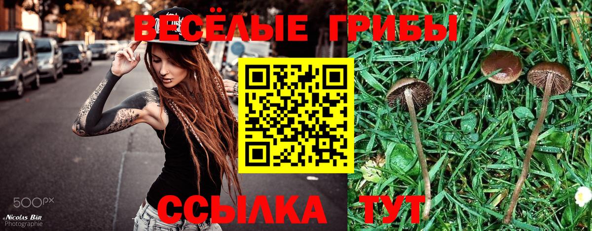 Псилоцибиновые грибы мицелий  Вход с VPN  Протвино  Галлюциногенные грибы Cubensis 